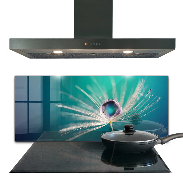 Paneles de vidrio para la cocina Diente de león con una gota de rocío
