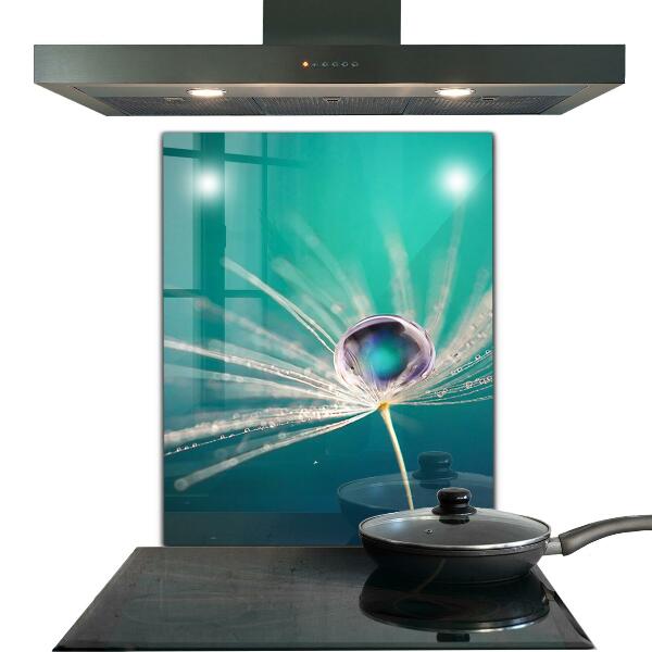 Paneles de vidrio para la cocina Diente de león con una gota de rocío