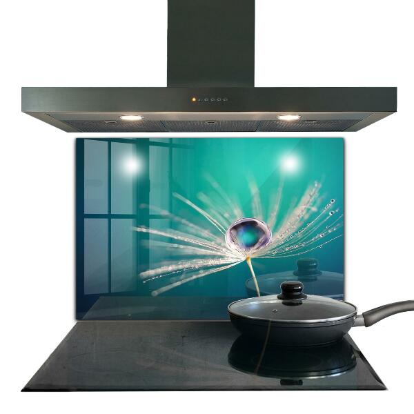 Paneles de vidrio para la cocina Diente de león con una gota de rocío
