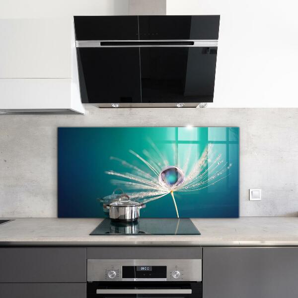 Paneles de vidrio para la cocina Diente de león con una gota de rocío