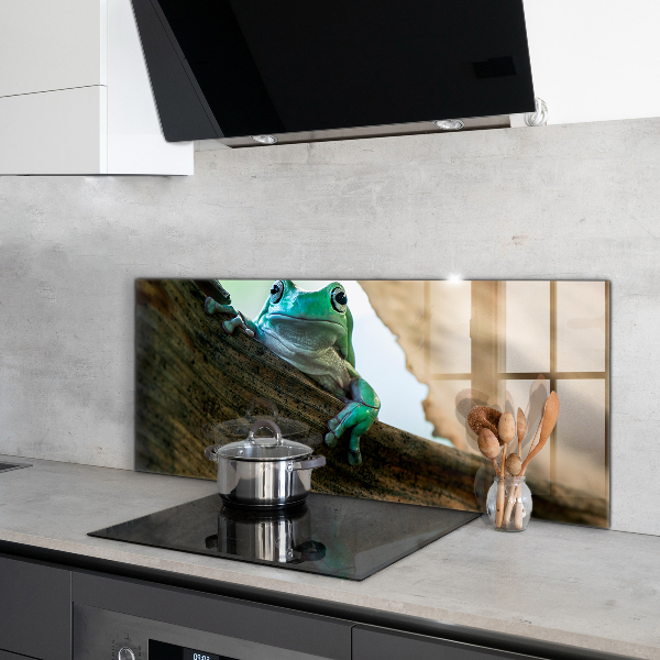 Paneles de pared Retrato de rana africana