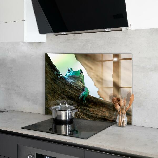 Paneles de pared Retrato de rana africana