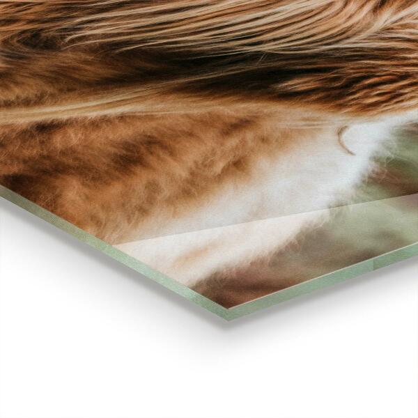 Paneles de pared Vaca estilo cabaña de las tierras altas