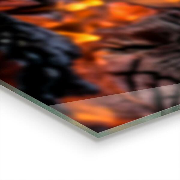 Paneles de vidrio para la cocina Fuego de hoguera ardiente