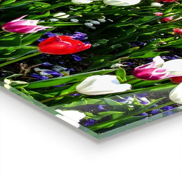 Paneles de vidrio para la cocina Prado flores de verano