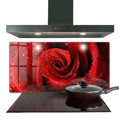 Paneles de pared Gotas de rocío sobre una rosa roja