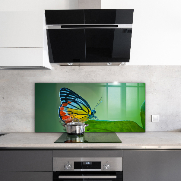 Paneles de pared Mariposa descansando sobre una hoja