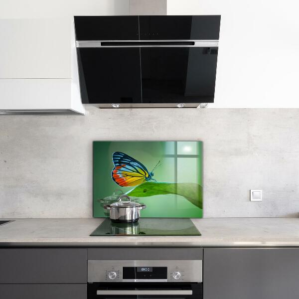 Paneles de pared Mariposa descansando sobre una hoja