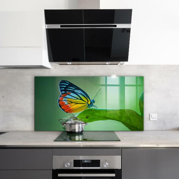 Paneles de pared Mariposa descansando sobre una hoja