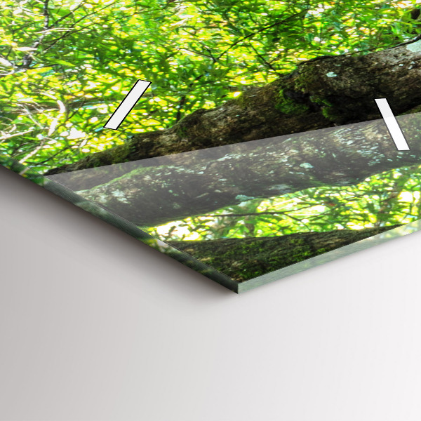 Reloj vertical Cascada en el bosque - espejomat.es