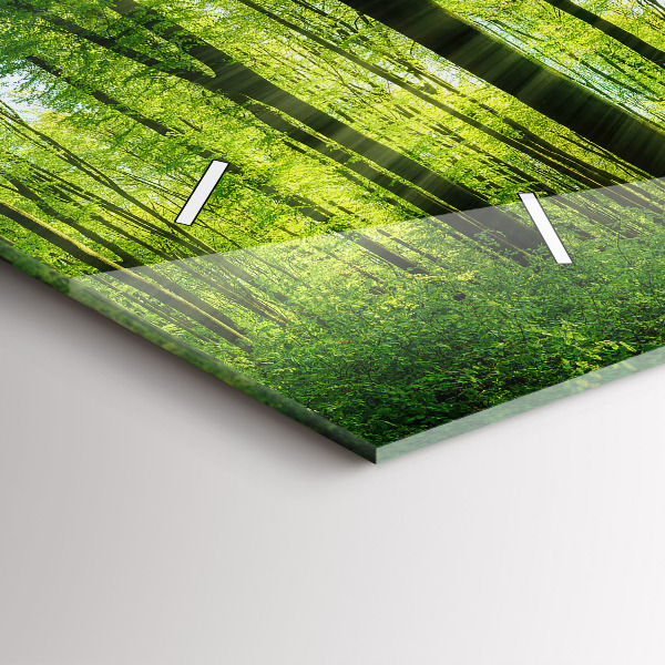 Reloj de cristal horizontal Árboles en el bosque