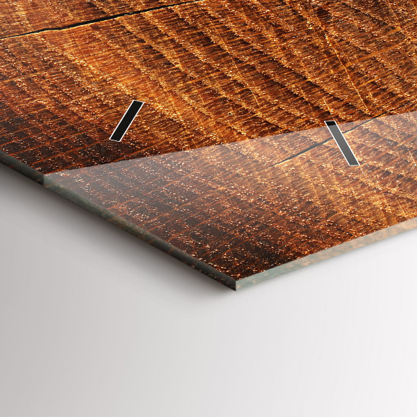 Reloj de cristal horizontal Viejo tronco de árbol