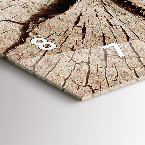 Reloj de cristal horizontal Viejo tronco de madera