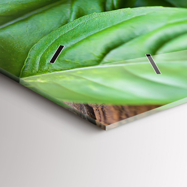 Reloj horizontal Hojas de albahaca