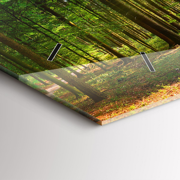 Reloj horizontal Amanecer en el bosque