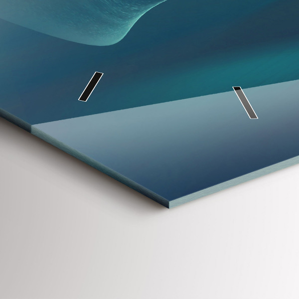 Reloj horizontal Imagen de un águila volando