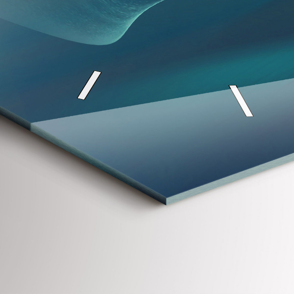 Reloj horizontal Imagen de un águila volando