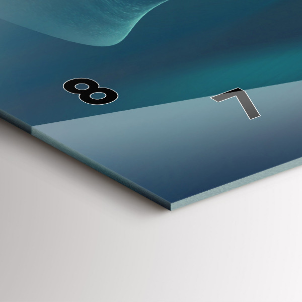 Reloj horizontal Imagen de un águila volando