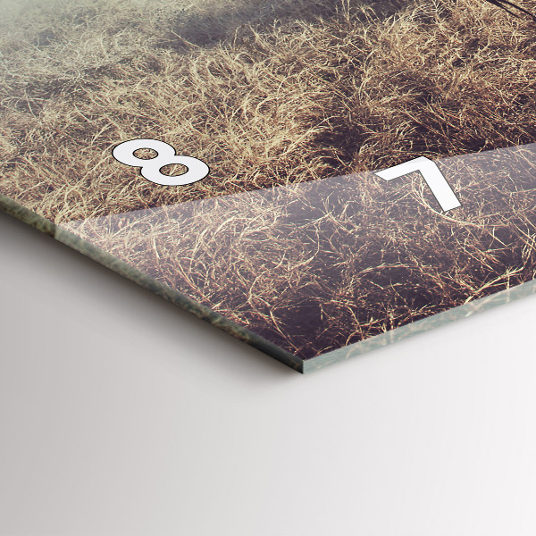 Reloj horizontal Cebra - Abstracción