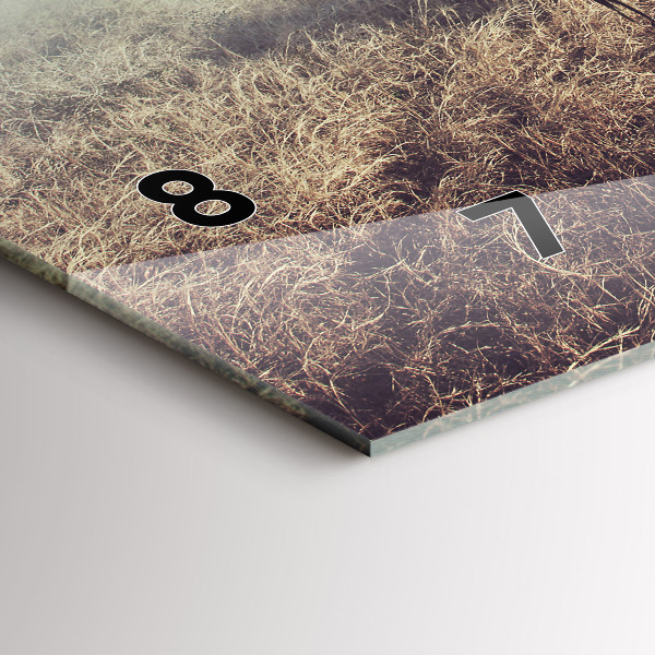 Reloj horizontal Cebra - Abstracción