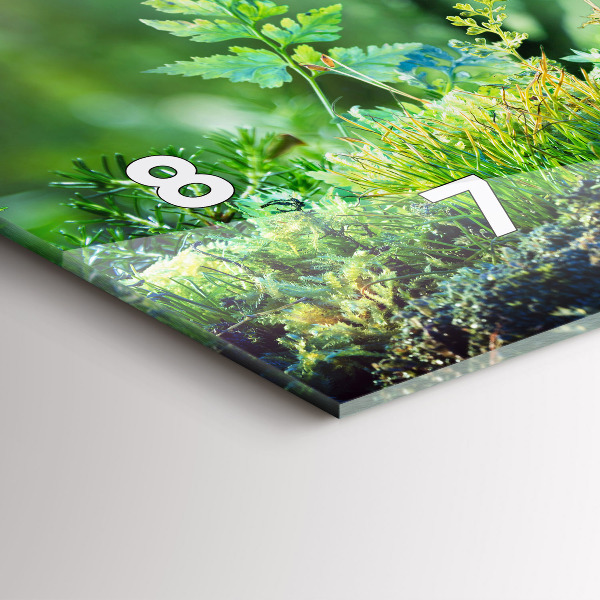 Reloj horizontal Globo terráqueo