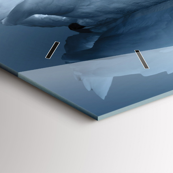 Reloj horizontal Cisnes en el corazón