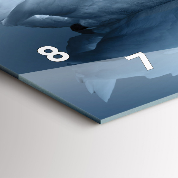 Reloj horizontal Cisnes en el corazón