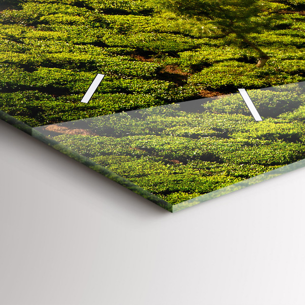 Reloj horizontal Colina del té