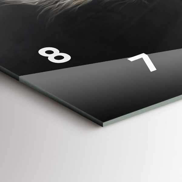 Reloj horizontal Caballo al galope