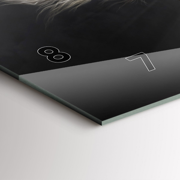 Reloj horizontal Caballo al galope