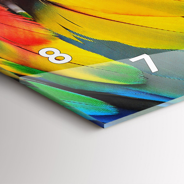 Reloj horizontal Pájaro Ara Alas de colores