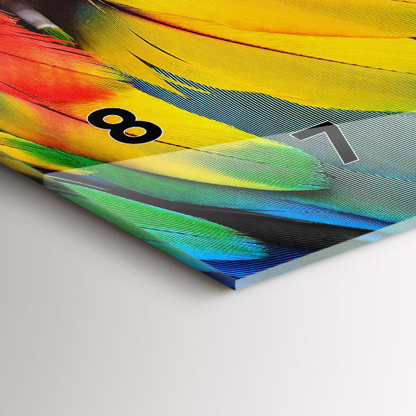 Reloj horizontal Pájaro Ara Alas de colores