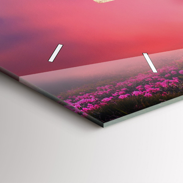 Reloj de cristal horizontal Pajarera