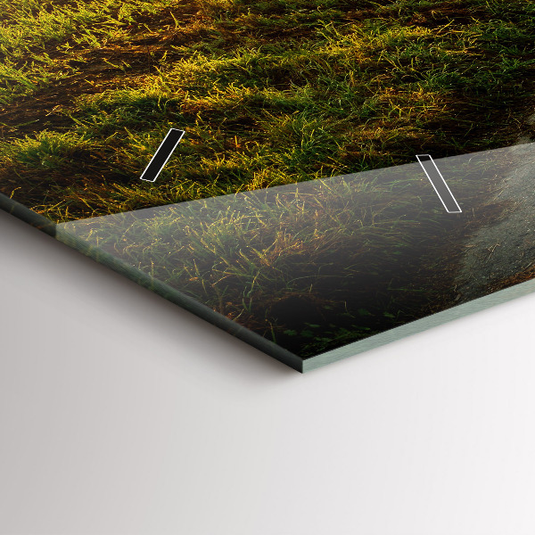 Reloj horizontal Niebla al amanecer