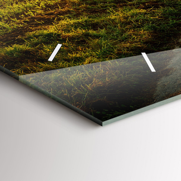 Reloj horizontal Niebla al amanecer