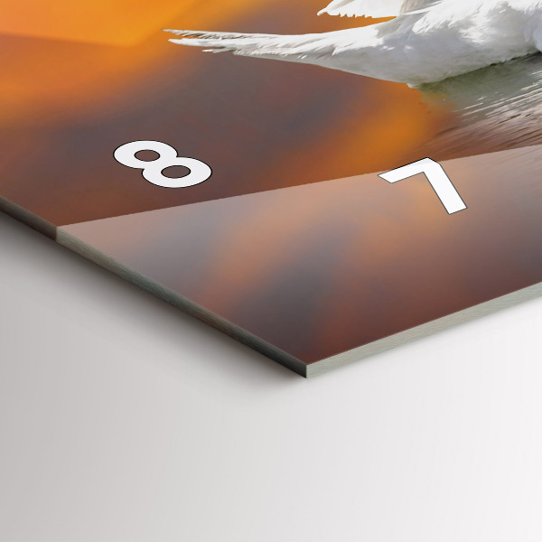 Reloj horizontal Cisnes enamorados