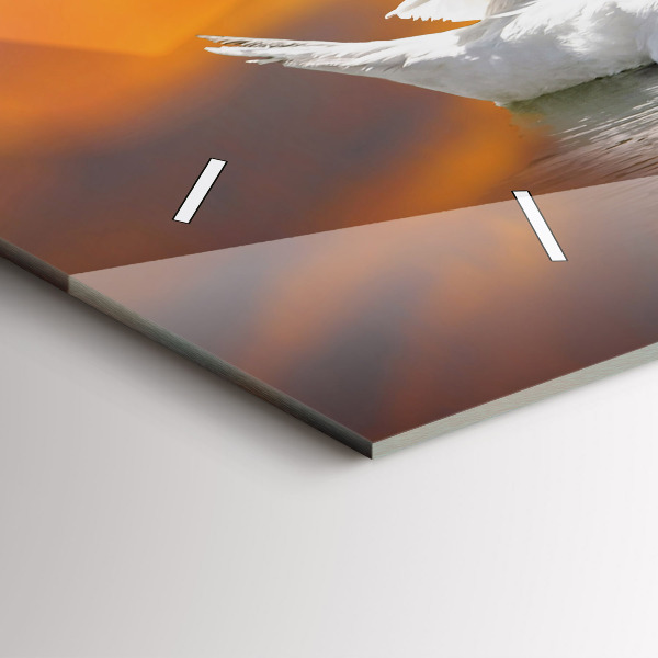 Reloj horizontal Cisnes enamorados