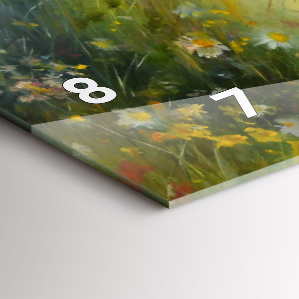 Reloj de cristal horizontal Hermosa mujer con un caballo