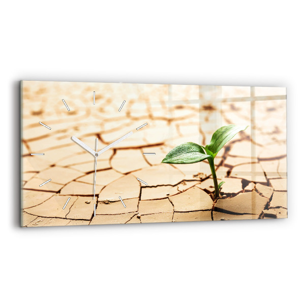 Reloj de cristal horizontal Planta en tierra seca