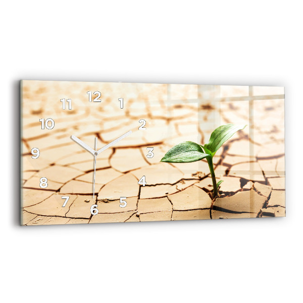 Reloj de cristal horizontal Planta en tierra seca