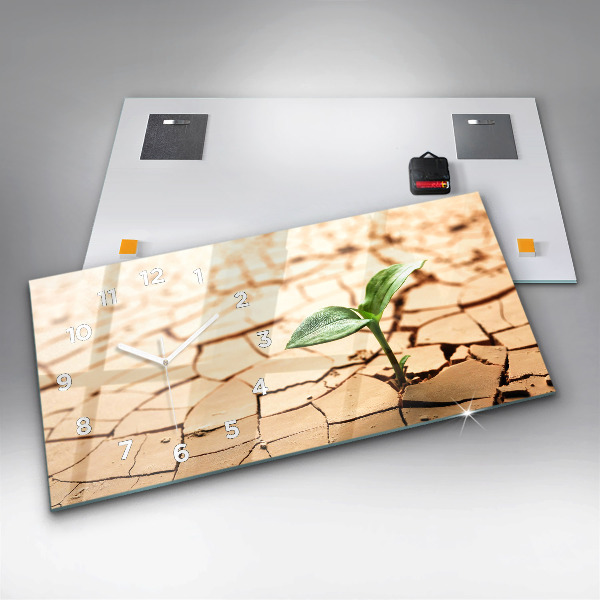 Reloj de cristal horizontal Planta en tierra seca