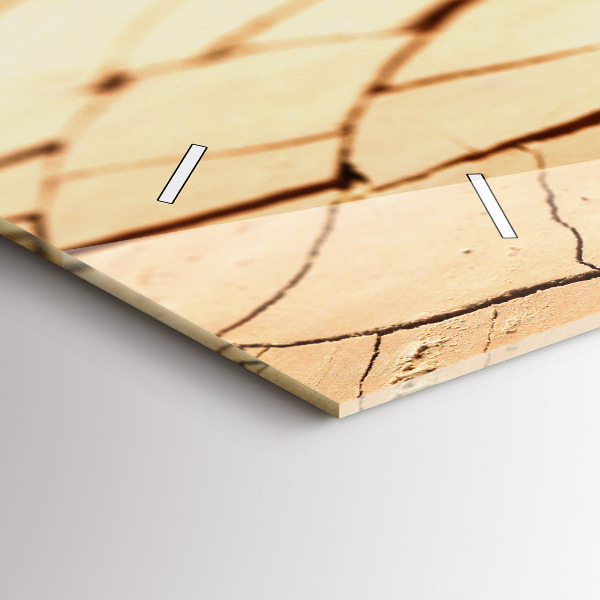 Reloj de cristal horizontal Planta en tierra seca