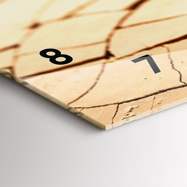 Reloj de cristal horizontal Planta en tierra seca