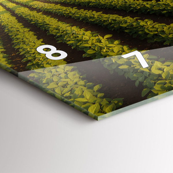 Reloj de cristal horizontal Tractor fumigando un campo