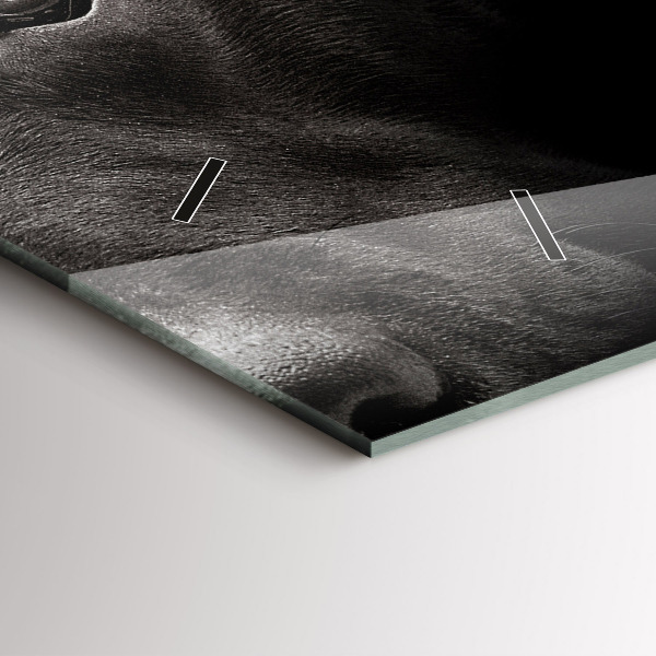 Reloj horizontal Perro y gato escocés