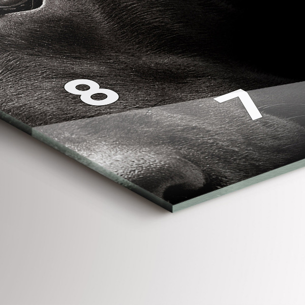 Reloj horizontal Perro y gato escocés