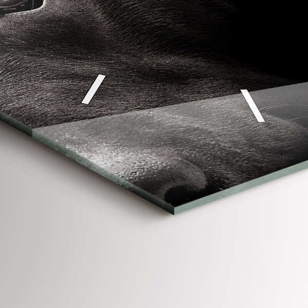 Reloj horizontal Perro y gato escocés