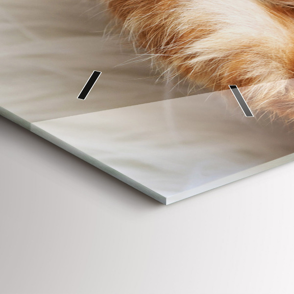 Reloj horizontal Gatito durmiendo