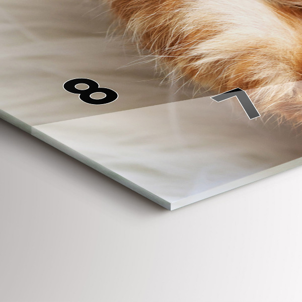 Reloj horizontal Gatito durmiendo