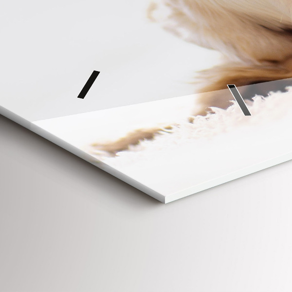 Reloj de cristal horizontal Gato y perro durmiendo